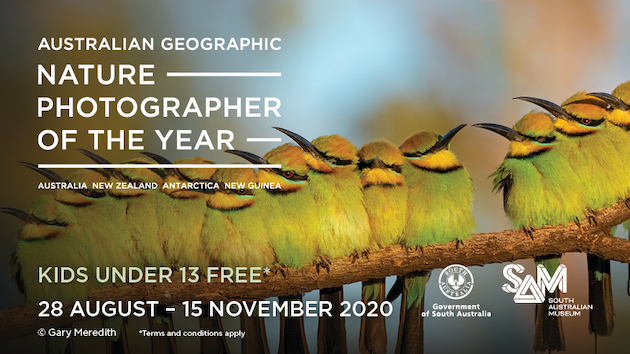 The Australian Geographic Nature Photographer Gallery 3